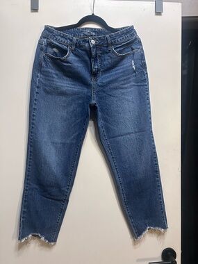 Time and Tru Dark Blue Distressed Ankle Jeans